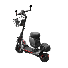 Load image into Gallery viewer, Segway Ninebot ZT3 Pro D