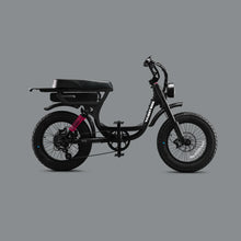 Load image into Gallery viewer, Flight Risk - FR333X