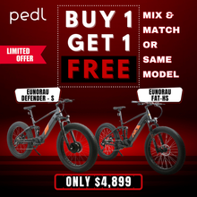Load image into Gallery viewer, Eunorau Electric Mountain Bike 1000W Motor FAT-HS Dual Battery Fat Tyre E-MTB