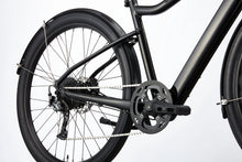 Load image into Gallery viewer, Treadwell Neo EQ