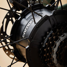 Load image into Gallery viewer, CRUZR STOKE Electric Bike