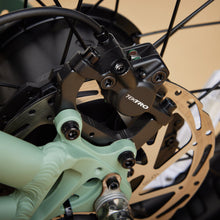 Load image into Gallery viewer, CRUZR STOKE Electric Bike