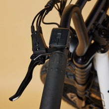 Load image into Gallery viewer, CRUZR SWELL Electric Bike