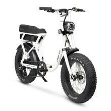 Load image into Gallery viewer, AMPD Brothers ACE-S Electric Bike