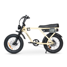Load image into Gallery viewer, ACE-X Adventure Electric Bike Series 5