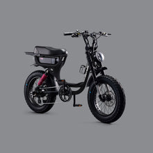 Load image into Gallery viewer, Flight Risk FR333