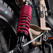 Load image into Gallery viewer, Flight Risk FR333