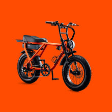 Load image into Gallery viewer, Flight Risk FR505