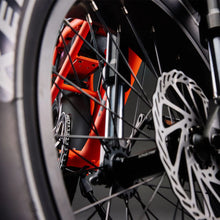 Load image into Gallery viewer, Flight Risk FR505