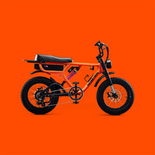 Load image into Gallery viewer, Flight Risk FR555