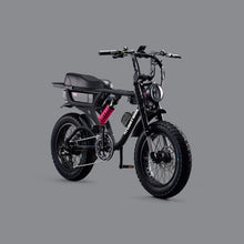 Load image into Gallery viewer, Flight Risk FR555