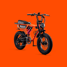 Load image into Gallery viewer, Flight Risk FR555