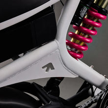 Load image into Gallery viewer, Flight Risk FR555