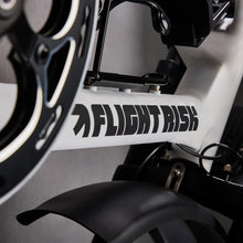 Load image into Gallery viewer, Flight Risk FR555