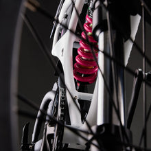 Load image into Gallery viewer, Flight Risk FR555