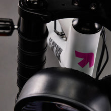 Load image into Gallery viewer, Flight Risk FR555