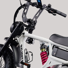 Load image into Gallery viewer, Flight Risk FR555