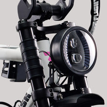 Load image into Gallery viewer, Flight Risk FR555