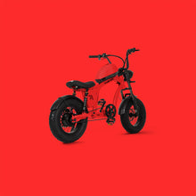 Load image into Gallery viewer, Flight Risk FR606