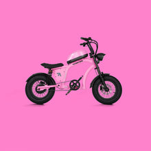 Load image into Gallery viewer, Flight Risk FR606