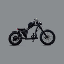 Load image into Gallery viewer, Flight Risk FR666