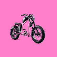 Load image into Gallery viewer, Flight Risk FR666