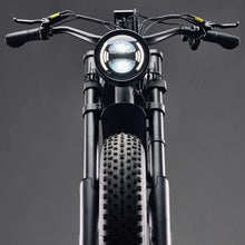 Load image into Gallery viewer, Flight Risk FR666