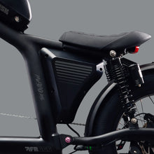 Load image into Gallery viewer, Flight Risk FR666