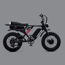 Load image into Gallery viewer, Flight Risk FR777