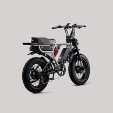 Load image into Gallery viewer, Flight Risk FR777