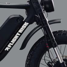 Load image into Gallery viewer, Flight Risk FR777