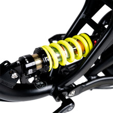 Load image into Gallery viewer, ACE-X Mini PRO Electric Bike