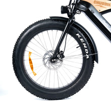 Load image into Gallery viewer, CHUBBIE 3 Electric Bike