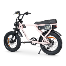 Load image into Gallery viewer, ACE-X Adventure Electric Bike Series 5