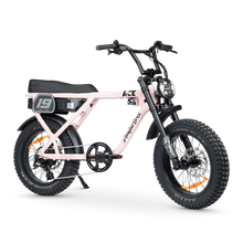 Load image into Gallery viewer, ACE-X Adventure Electric Bike Series 5