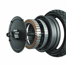 Load image into Gallery viewer, Segway Ninebot ZT3 Pro D