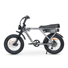 Load image into Gallery viewer, ACE-X Adventure Electric Bike Series 5