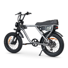 Load image into Gallery viewer, ACE-X Adventure Electric Bike Series 5