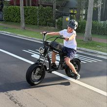 Load image into Gallery viewer, Flight Risk FR606