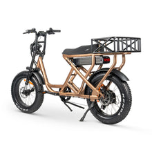 Load image into Gallery viewer, ACE-S Cargo MAX Electric Bike