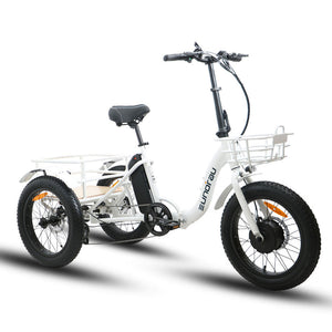 Eunorau Trike eTrike Electric Bike