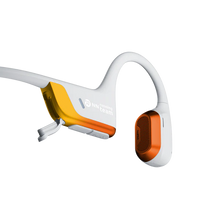 Load image into Gallery viewer, Shokz OpenRun Pro 2