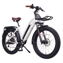 Load image into Gallery viewer, ET.Cycle T1000 Electric Fat Bike Trekking Step-thru E-Bike Powerful T Series 48V 21Ah, 1008Wh
