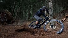 Load image into Gallery viewer, 2026 Amflow PL Carbon Pro Electric Mountain Bike – 800Wh | Carbon Frame | DJI Avinox | Dual Suspension