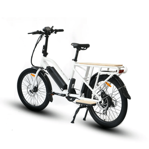 Eunorau Max-Cargo 24'' Wheel Electric Bike 48V 250W E-Bike