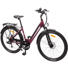 Load image into Gallery viewer, TEBCO Discovery