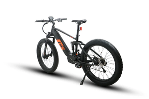 Eunorau Electric Mountain Bike 1000W Motor FAT-HS Dual Battery Fat Tyre E-MTB