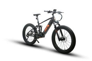 Eunorau Electric Mountain Bike 1000W Motor FAT-HS Dual Battery Fat Tyre E-MTB