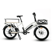 Load image into Gallery viewer, Eunorau Max Cargo - 24'' Wheel Electric Bike 48V 250W E-Bike
