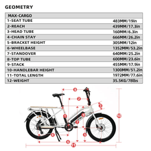 Load image into Gallery viewer, Eunorau Max-Cargo 24&#39;&#39; Wheel Electric Bike 48V 250W E-Bike
